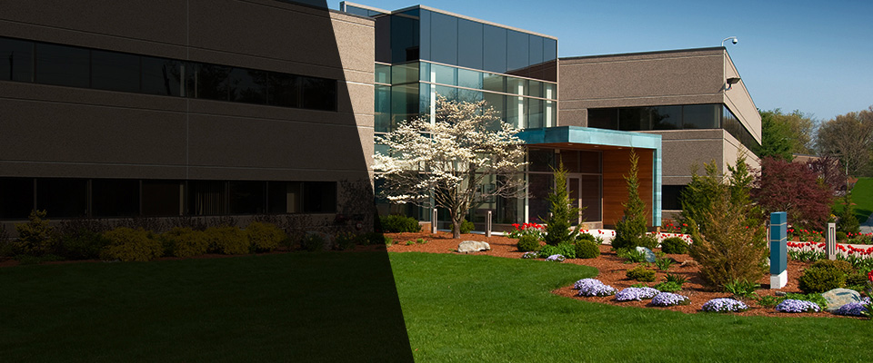 Catonsville Landscapers