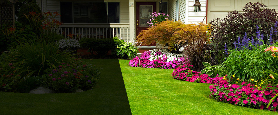 Catonsville Landscapers