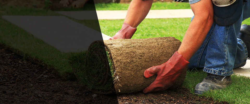 Catonsville Landscapers